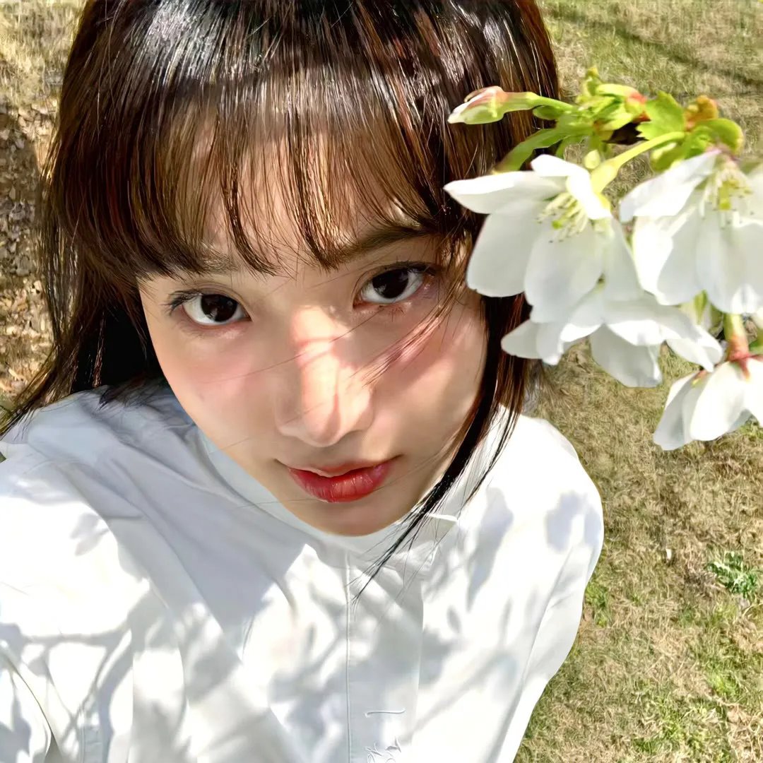 曲中情未了